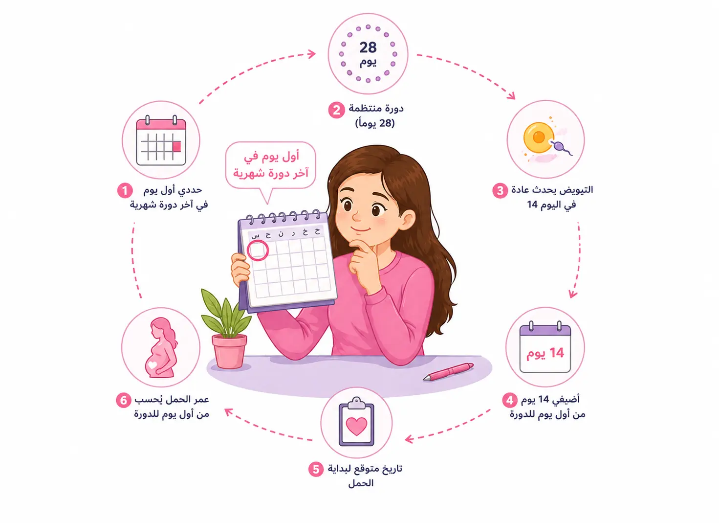 طريقة حساب الحمل من آخر دورة